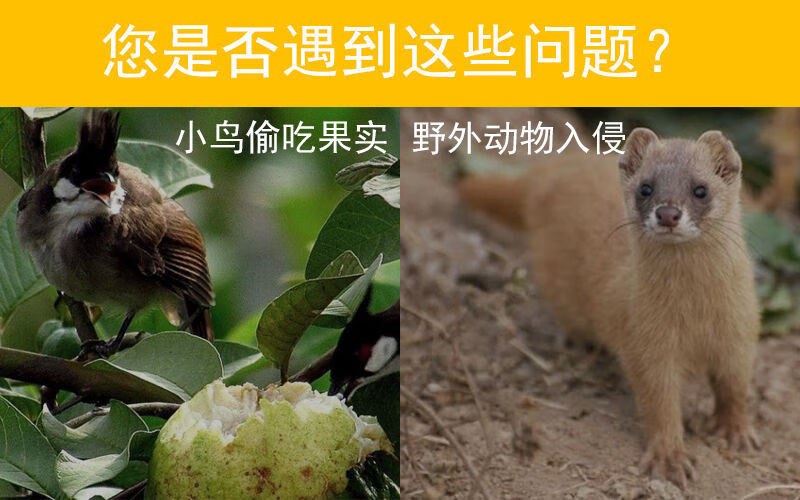 太阳能警示灯野兽驱赶器驱鸟神器吓鸟神器野猪驱赶器吓鸟器赶鸟器多