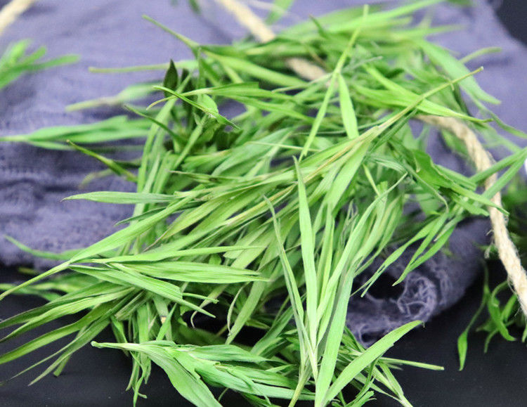 竹叶茶崂山石竹茶石竹青新鲜青竹叶嫩芽新货散装500g250克