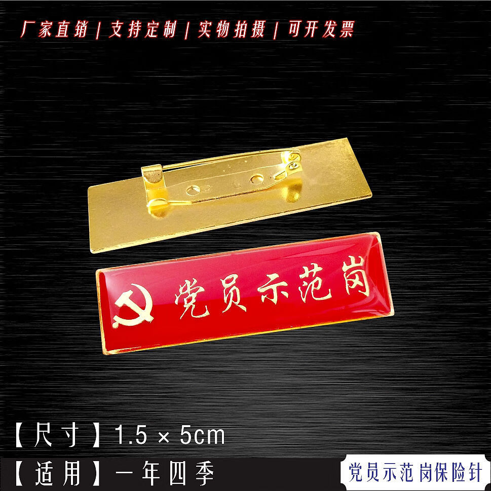 入党积极分子徽章党员示范岗先锋岗胸章长方形别针式磁铁款 党员-磁铁