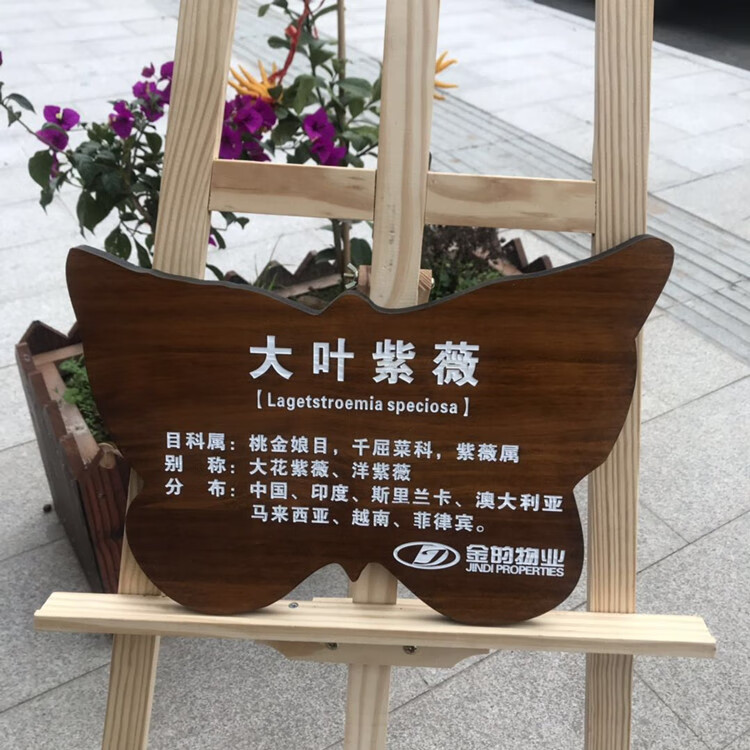 智能家居树木标识牌 树牌实木质花草牌树木牌装饰挂牌植物标识牌悬挂