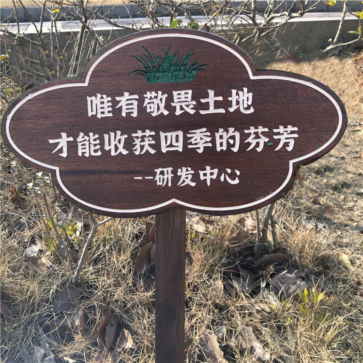 实木植物花草牌标签木质插地户外警示牌标识牌幼儿园菜园种植区牌欧琪