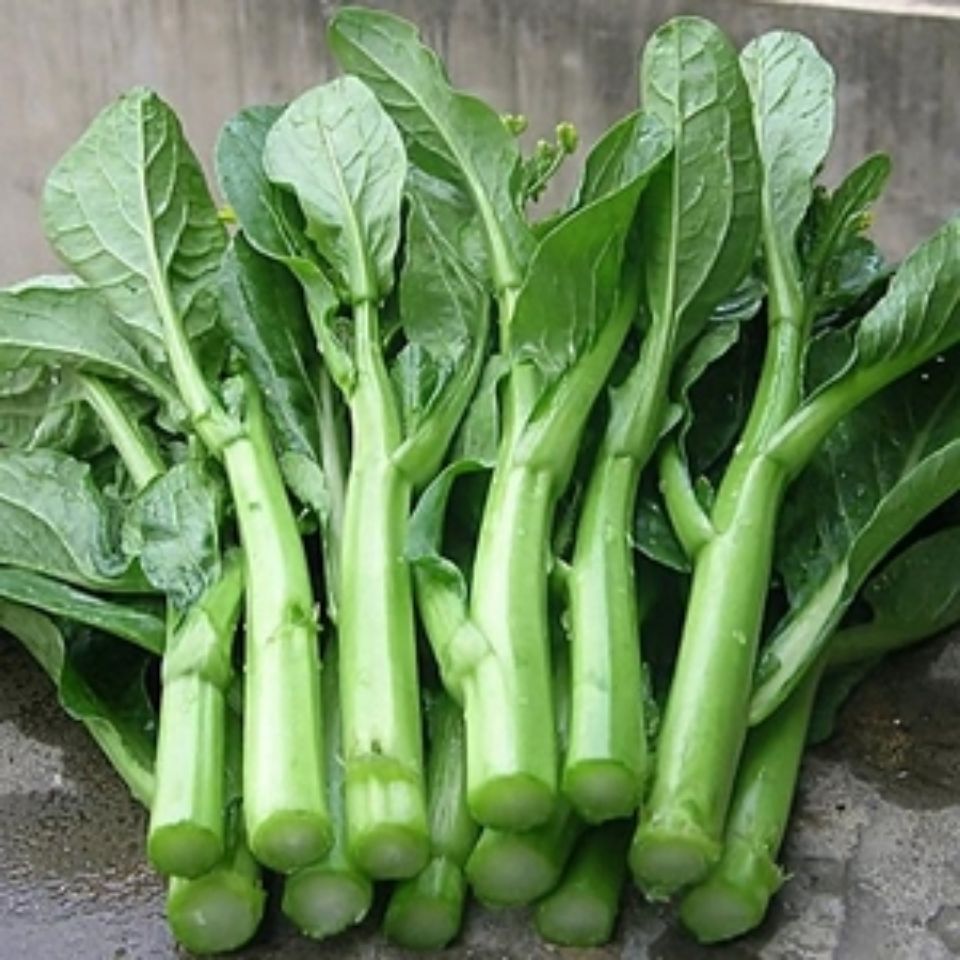 新鲜蔬菜广东菜心菜苔新鲜蔬菜3斤