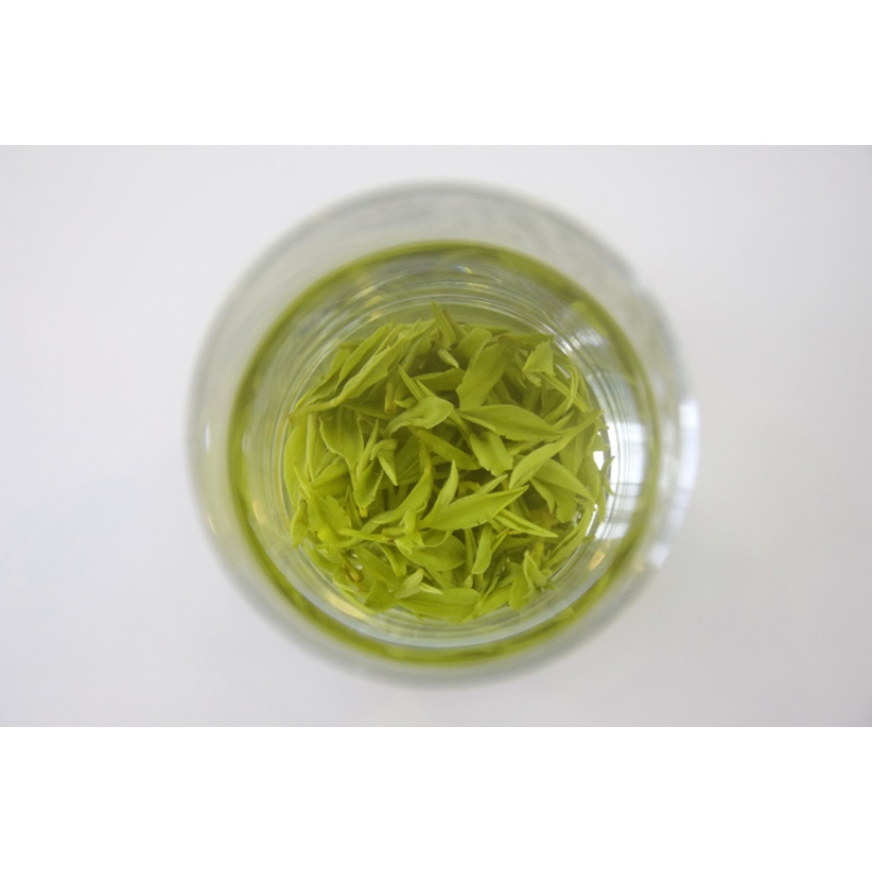 常熟虞芳白茶 2022年春 绿茶 新茶叶 虞山工艺 白茶 明前开园头采 50