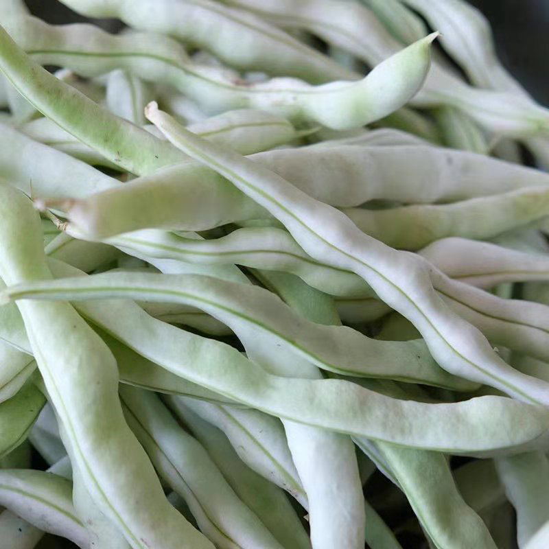 白不老豆角新鲜东北架豆王老来少芸豆四季豆白架豆农家蔬菜3斤