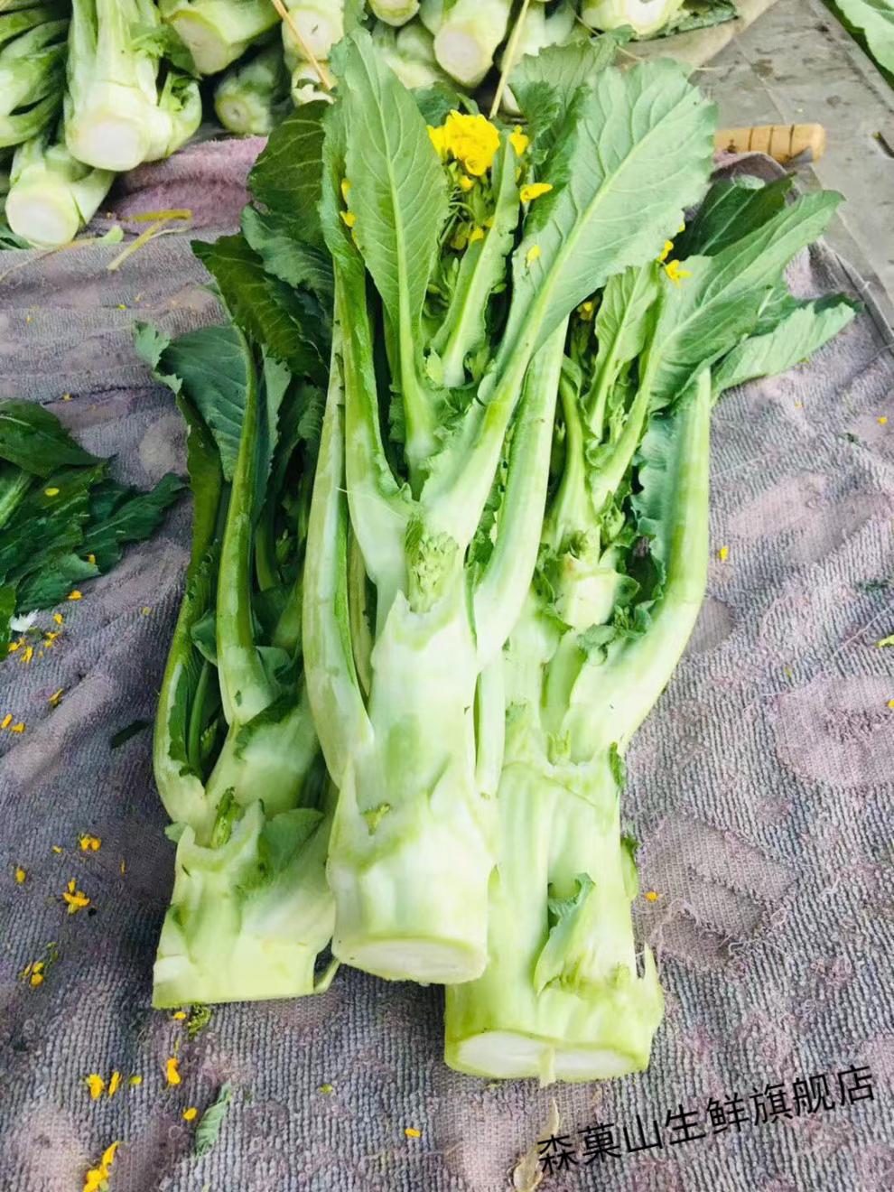 礼盒装】增城迟菜心 新鲜迟菜心现摘现发高脚菜心广东蔬菜 6斤【礼盒