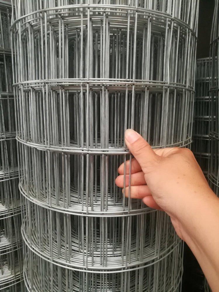 鹿凌青圈玉米网铁丝网围栏养殖网养鸡网钢丝镀锌电焊网拦鸡护栏网防护