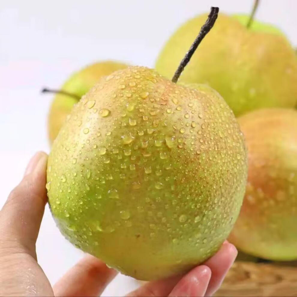 山西玉露香梨 玉贵妃酥脆梨新鲜水果脆甜多汁孕妇礼盒装大果精品 顺丰