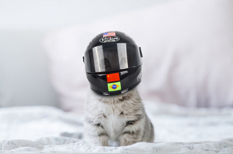 猫咪用的头盔宠物英短蓝猫猫咪迷你头盔胸包新款机车安帽造型帽子搞笑