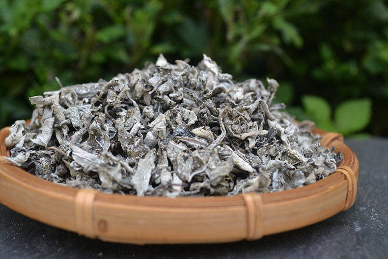 丽江雪茶 云南白雪毫 雪山古茶 雪山白露 苦甘露 古藤茶 露 古藤茶