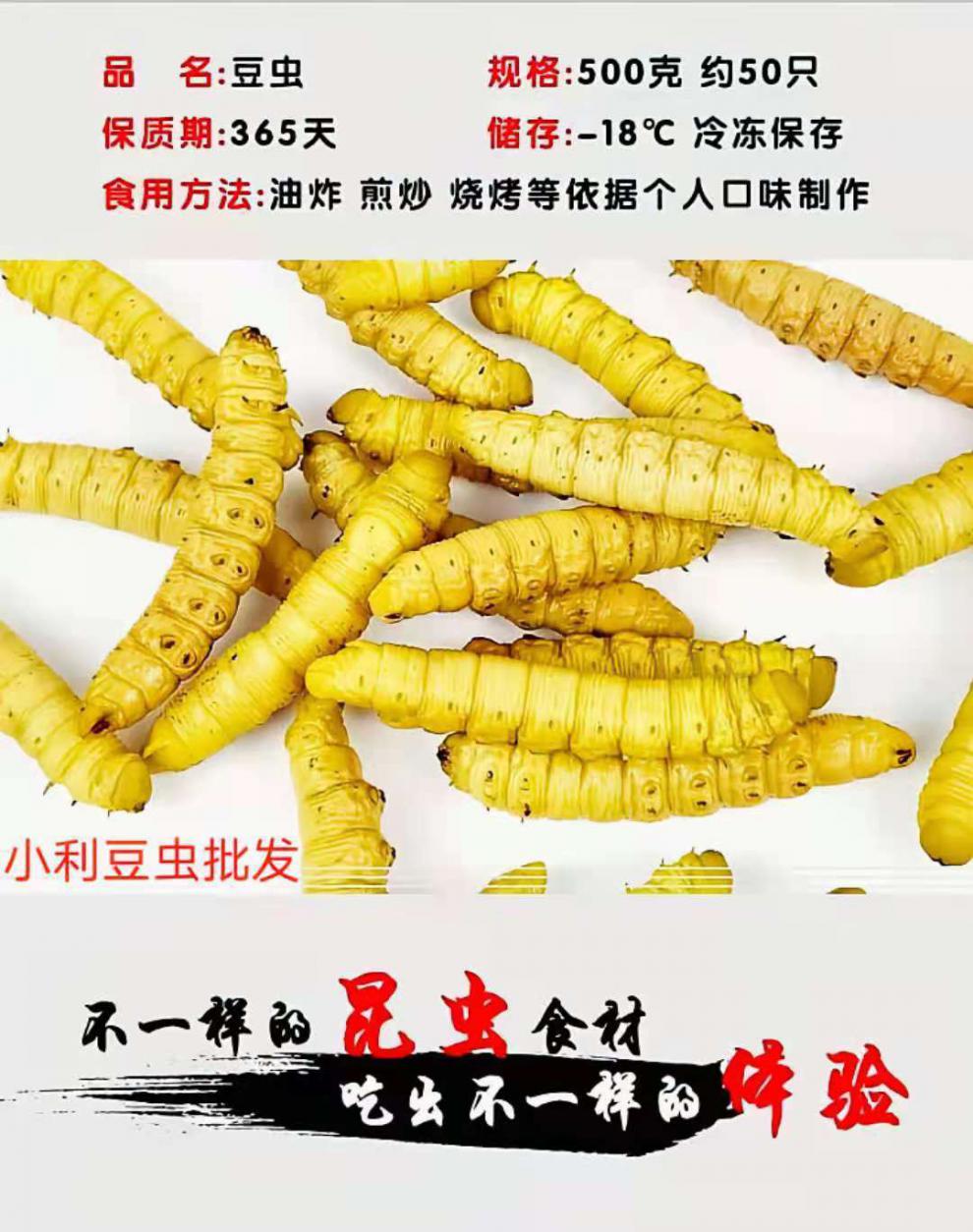 豆虫即食豆虫蛹豆虫活体活豆虫速冻山东豆虫 二斤保温箱装【图片 价格