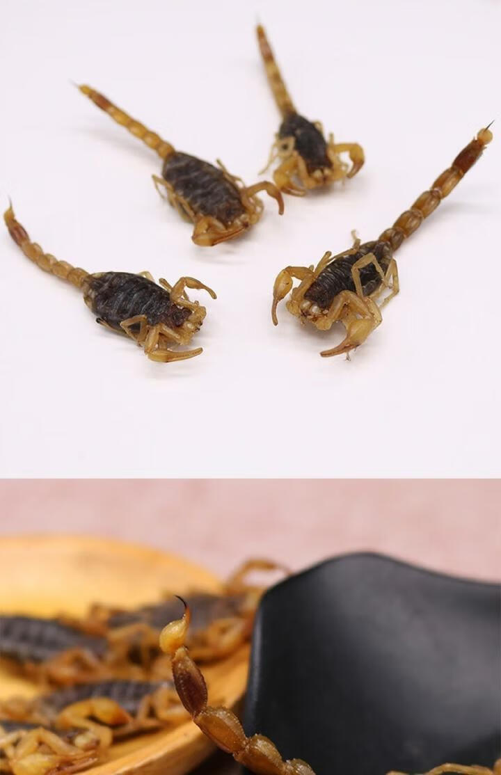 北京同仁堂原料全蝎中药材蝎子全虫清水干货整条公蝎泡酒50克内廷上用