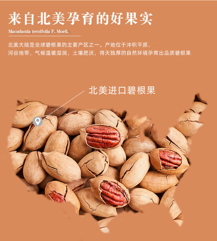 新货坚果奶油味碧根果罐装干果零食250g2罐单罐净重150g