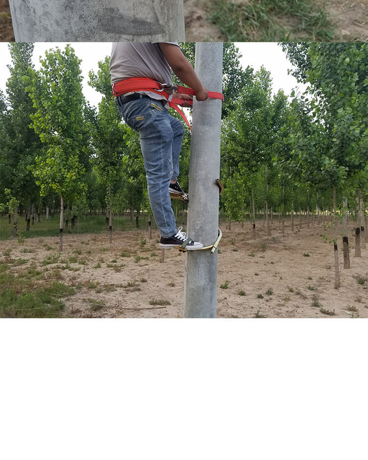 派诺特电线杆脚扣爬杆器国标新款电工脚扣脚蹬水泥杆脚钩电信路灯杆
