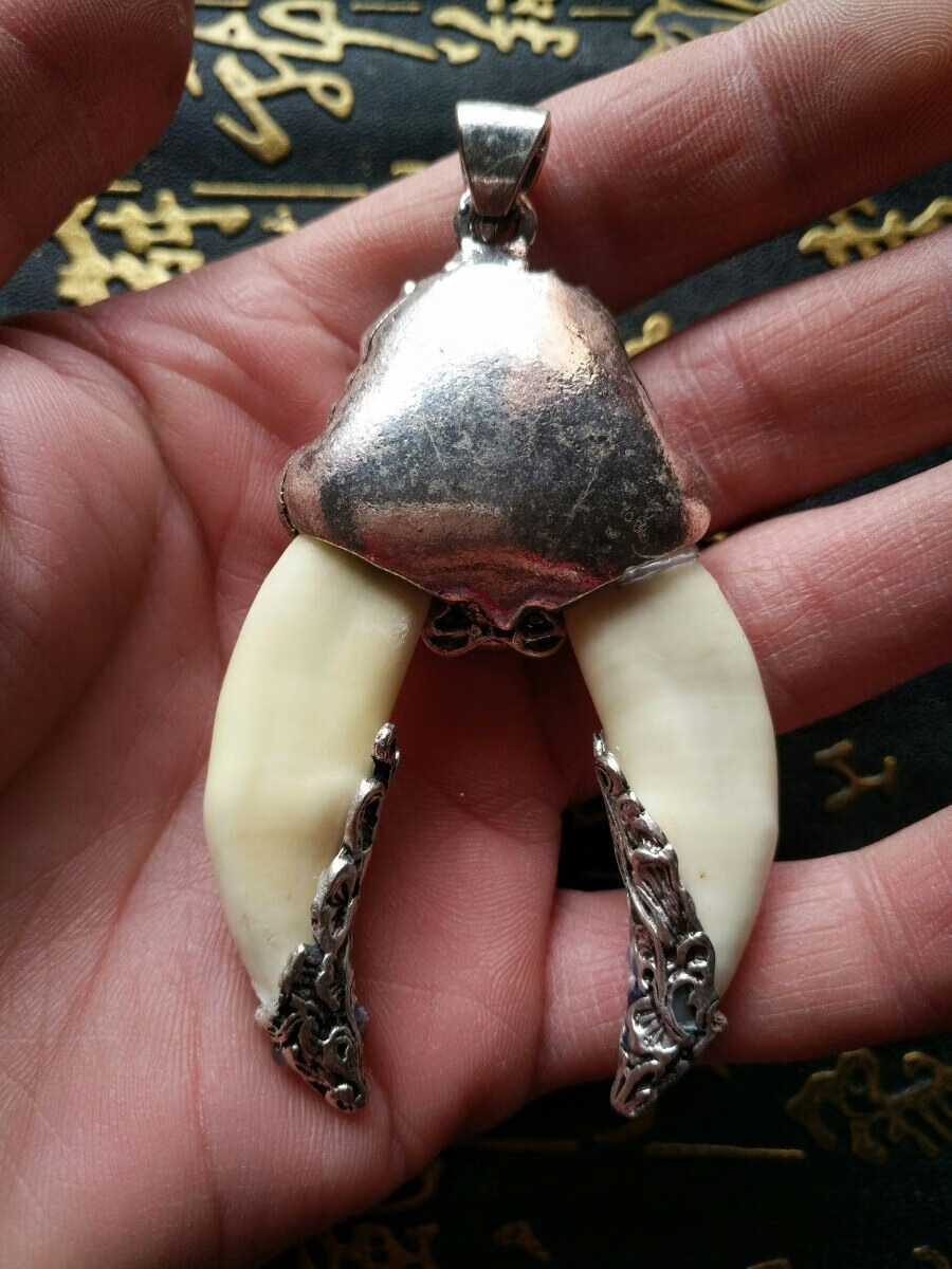 高档品质{中秋节礼物}西藏内蒙狼牙吊坠925银牙套包真黑狗牙宝宝压惊