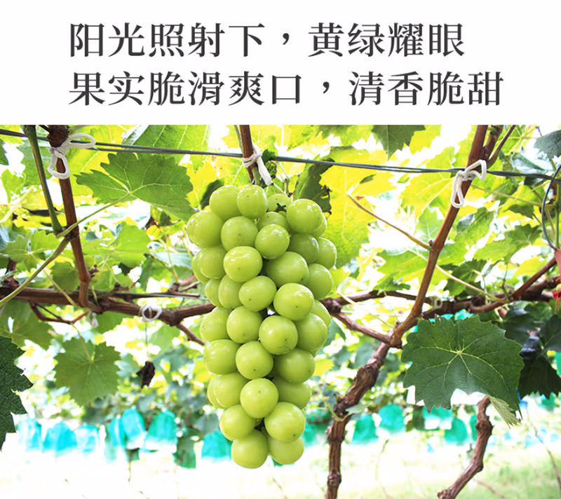 b3862b7adc4c181a.jpg.avif