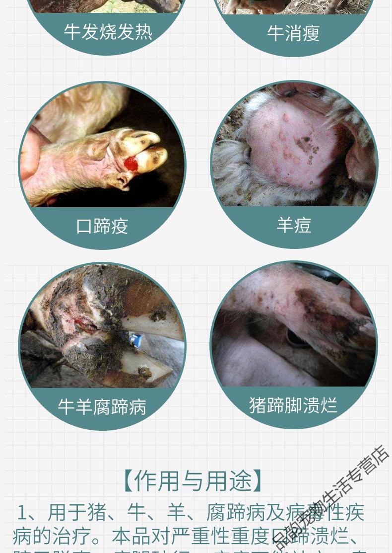 兽用牛结节病血清抗体药牛痘全身疙瘩流脓牛结节疹病治疗方案 痘疮