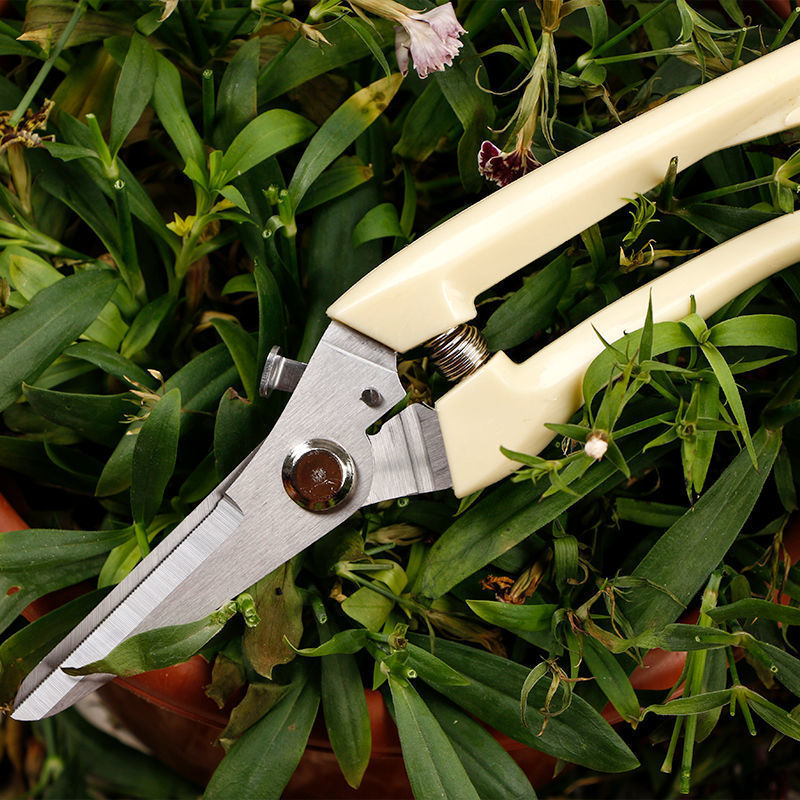 花艺园艺剪刀宽头家用花剪鲜花花道剪树枝修花修枝工具花艺剪蓝色