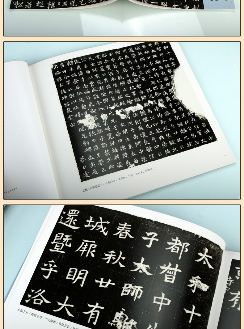 《冯诞墓志 王寿德墓志 墓志书法精选 第六册 汉字碑帖技法书籍 书法