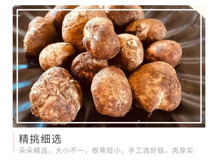 【顺丰】云南新鲜马皮泡新鲜马勃菌野生马粪包马屁包鸡枞孕妇儿童山珍