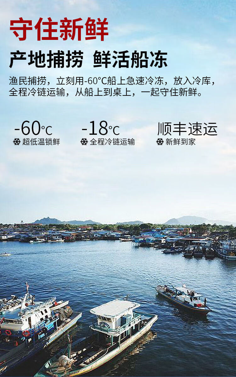 2只大龙虾青龙虾速冻海鲜水产新鲜活冻小青龙澳龙虾广东省外空运200g