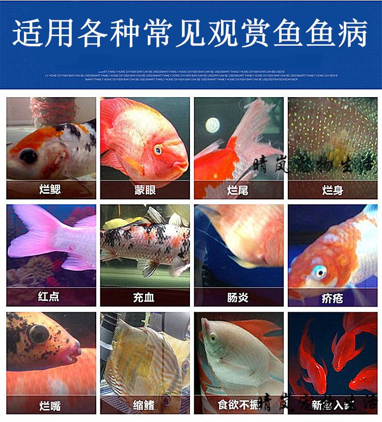 金滴黄粉金滴鱼药鱼病白点白毛烂鳃烂尾脱鳞观赏鱼通用真菌烂肉10袋