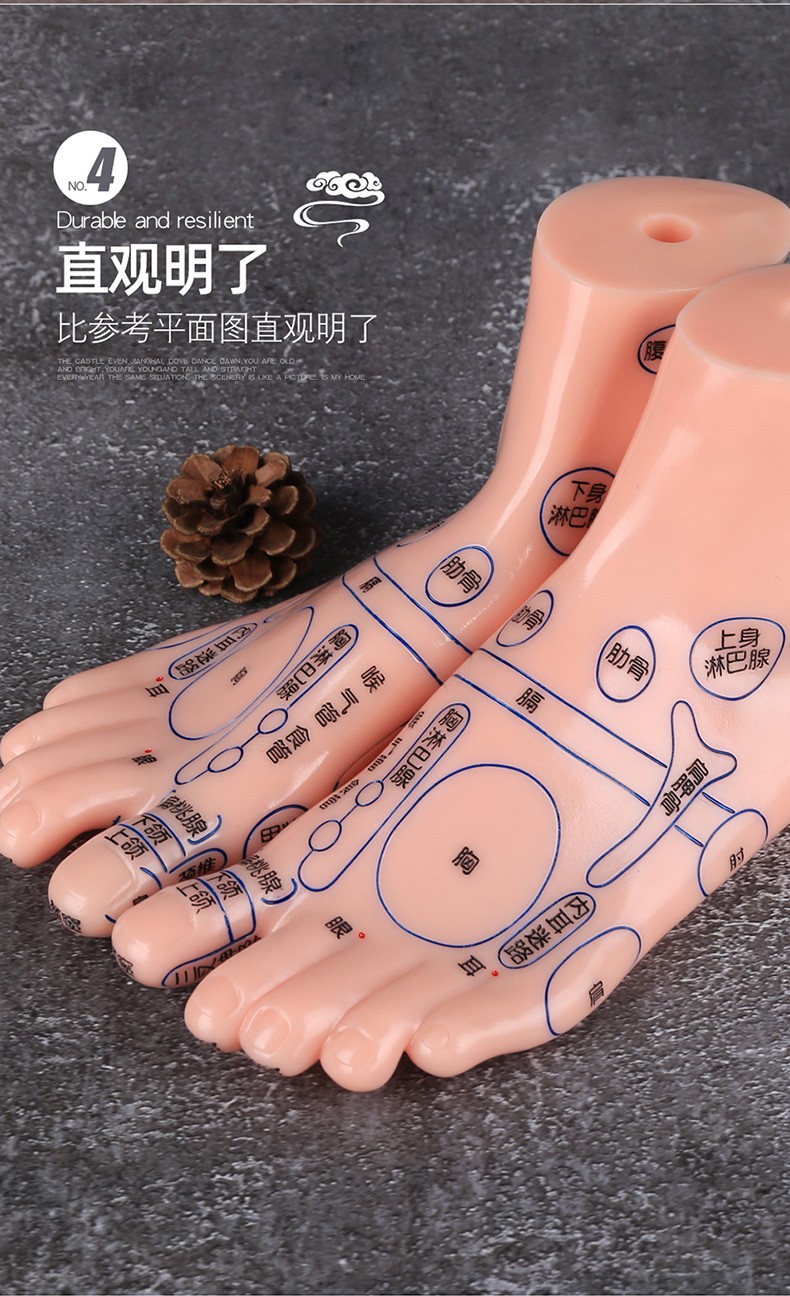 京健康足部按摩模型足底反射区穴位工具器材脚丫足疗养生点穴棒家用