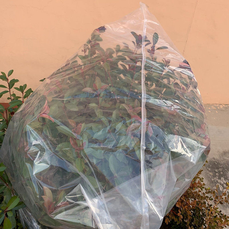 其六绿植物防冻保温袋塑料膜花卉盆栽过冬保护罩树木防寒布防尘袋透明