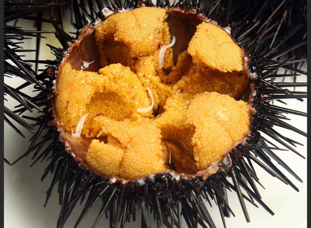 紫海胆新鲜马粪海胆鲜活黄胆刺锅即食刺身水产生鲜 索维奥 1斤尝鲜装