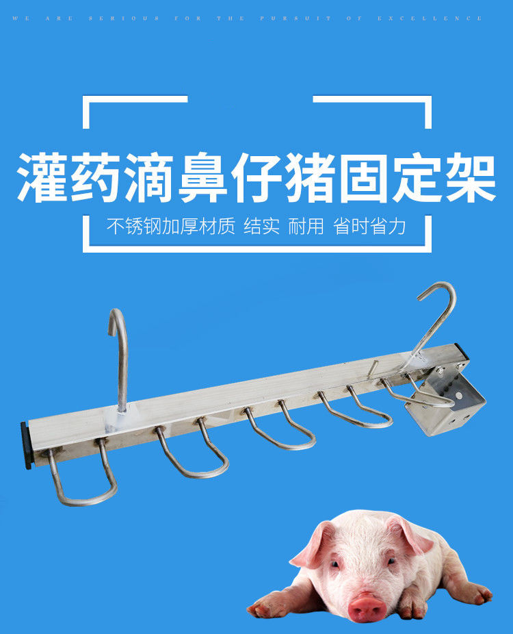 舞万花小猪用不锈钢挂猪器 仔猪固定架喂药滴鼻剪牙注射用仔猪固定架