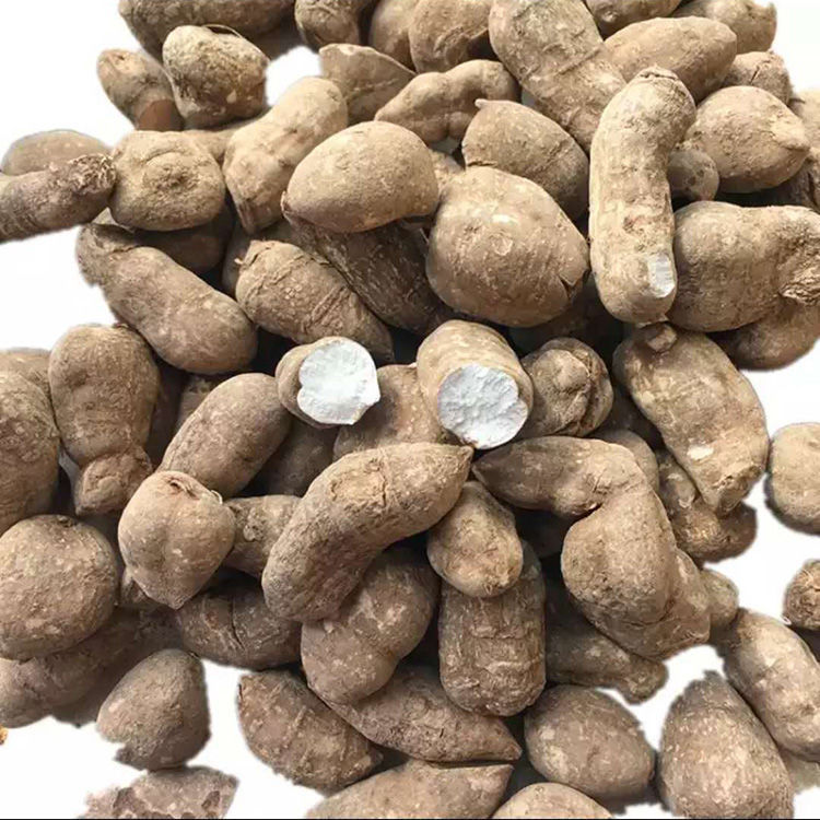 三叶青浙江三叶青金线吊葫芦三叶青粉干货三叶青草药整个三叶青100克