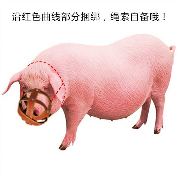 全套牲畜可调节套子笼口嘴巴成透气母猪咬嘴套咬猪仔套猪嘴笼 m57