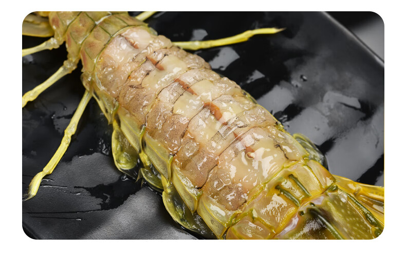 铭心顺丰冷链泰国鲜活冷冻濑尿虾超特大皮皮虾海鲜水产巨型富贵虾菇