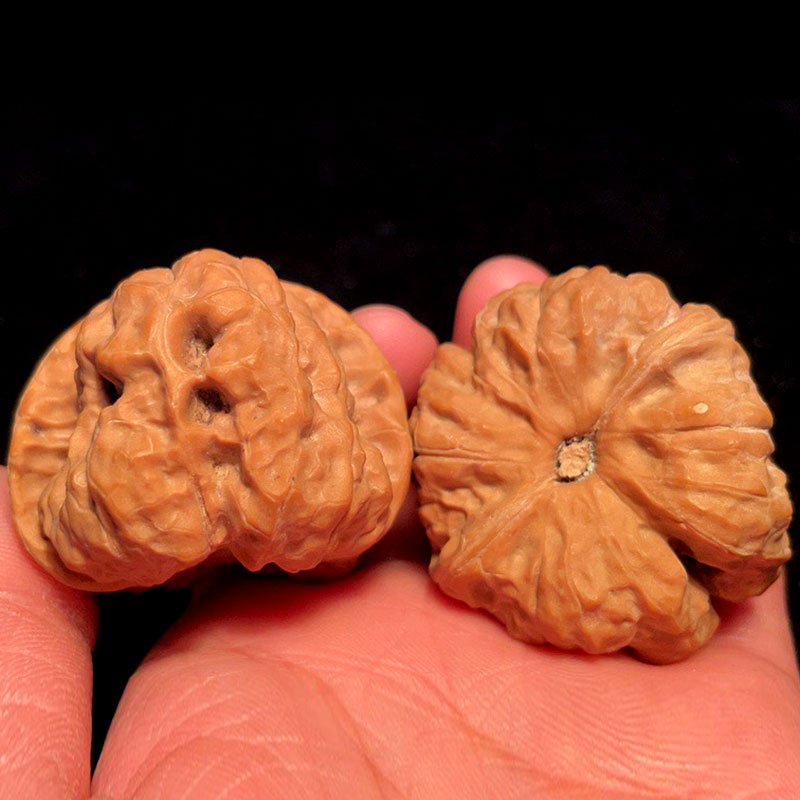 山中玉 文玩核桃 蛤蟆头 金蟾蛤蟆背 延庆麻核桃野生手把件手盘古玩核