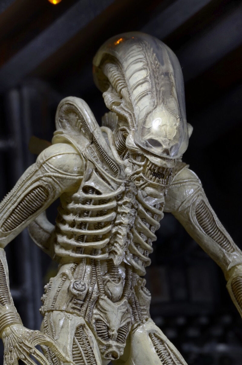 neca第7波avp异形契约alien大战铁血战士可动模型人偶玩偶公仔可动第