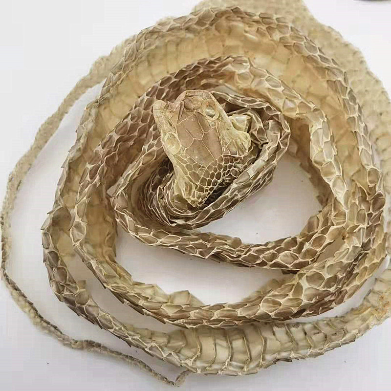 晗青堂蛇she蜕龙衣蛇皮长虫匹蛇壳一条长15米左右整条完整中药材