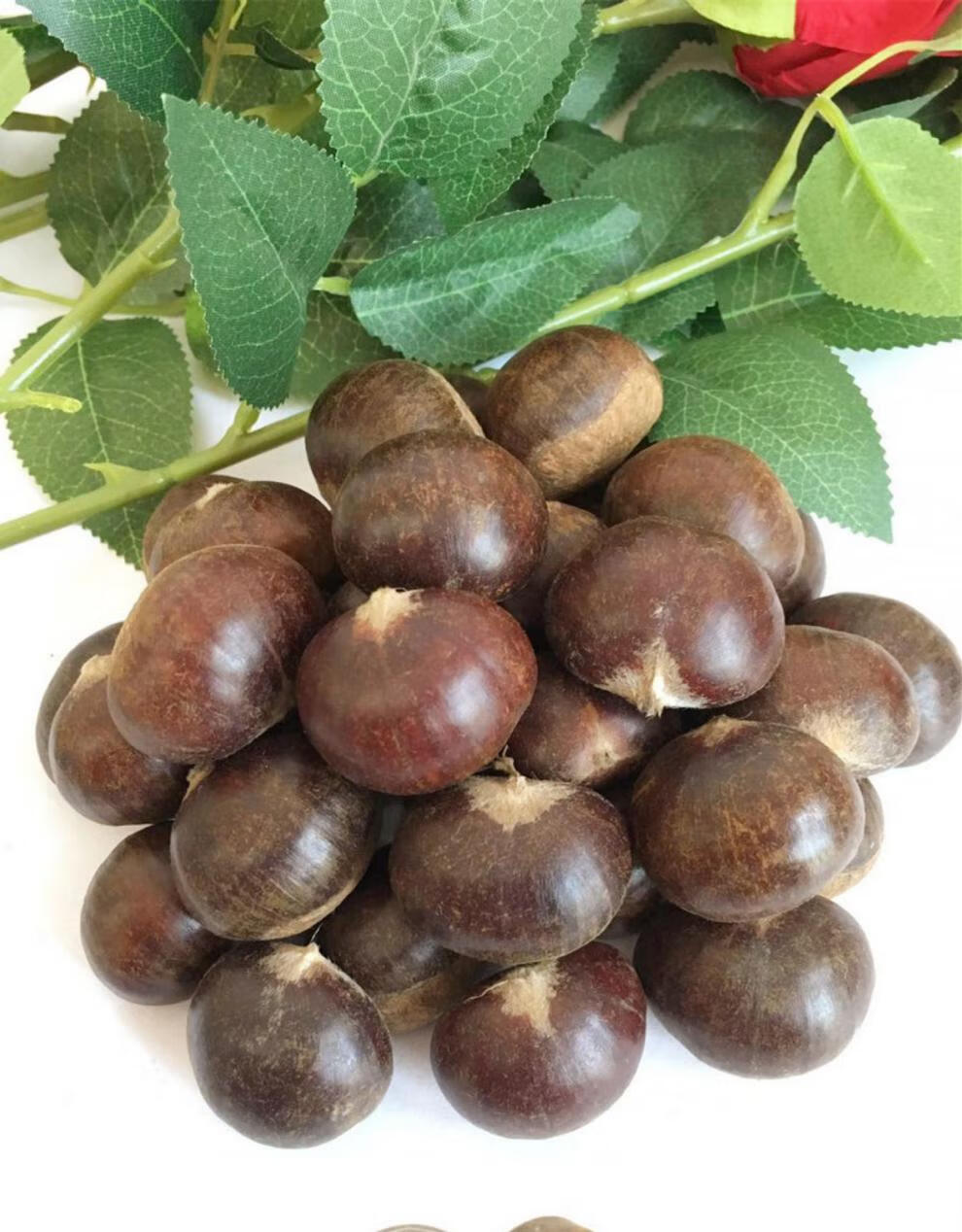 2021年板栗生新鲜正宗迁西板栗栗子大油栗燕山甜糯小毛板粟5斤4斤大粒