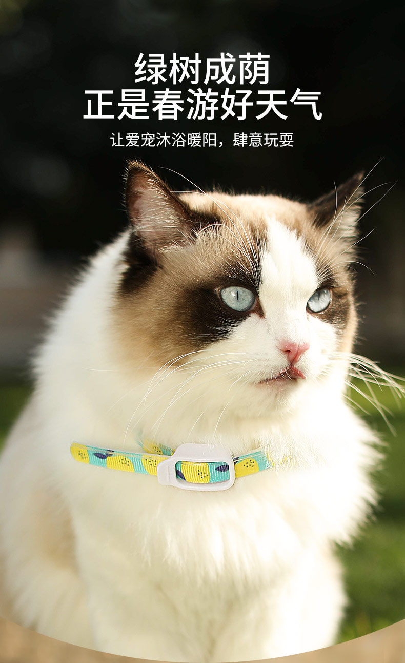 抖音同款京速达superdesign狗狗驱虫项圈猫咪驱蚊除蚤去防虱子螨虫