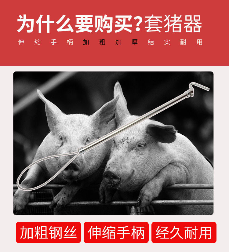 套猪器捉猪神器套狗猪用保定器抓猪工具猪套子猪套嘴器养殖场设备