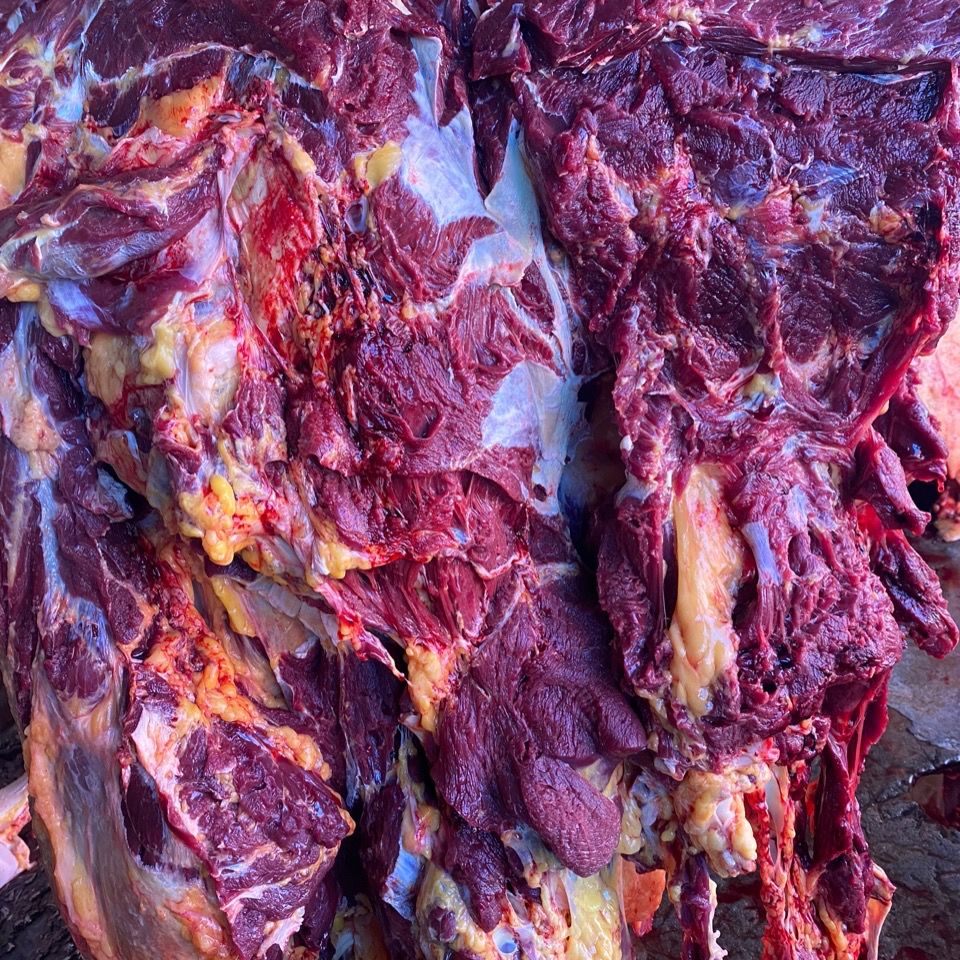 新鲜驴肉 驴肉纯驴肉生驴肉新鲜河北特产农家现杀真空驴腿肉 鲜驴肉