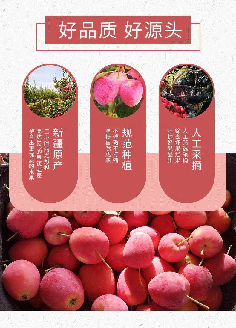 颜曼箐 新疆香妃海棠果正宗伊犁脆甜鸡心小苹果水果新鲜当季整箱顺丰