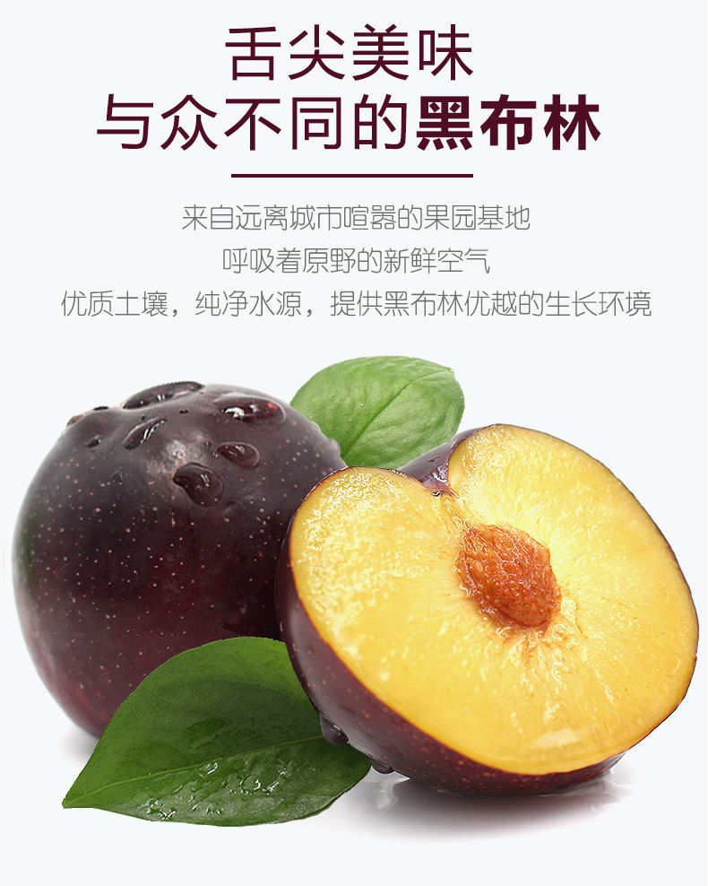 【现货】陕西黑布林李子当季新鲜水果黑布李脆李黑金刚 2斤试吃装