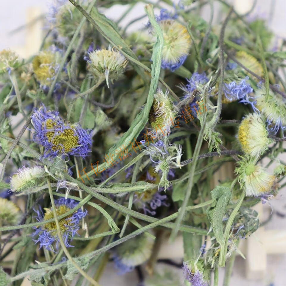 中药材精选灯盏花云南中药材灯盏花灯盏细辛灯盏花500克