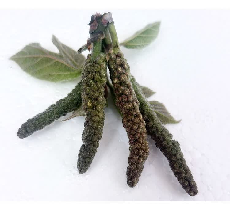 构树穗图片(构树穗图片药用价值)