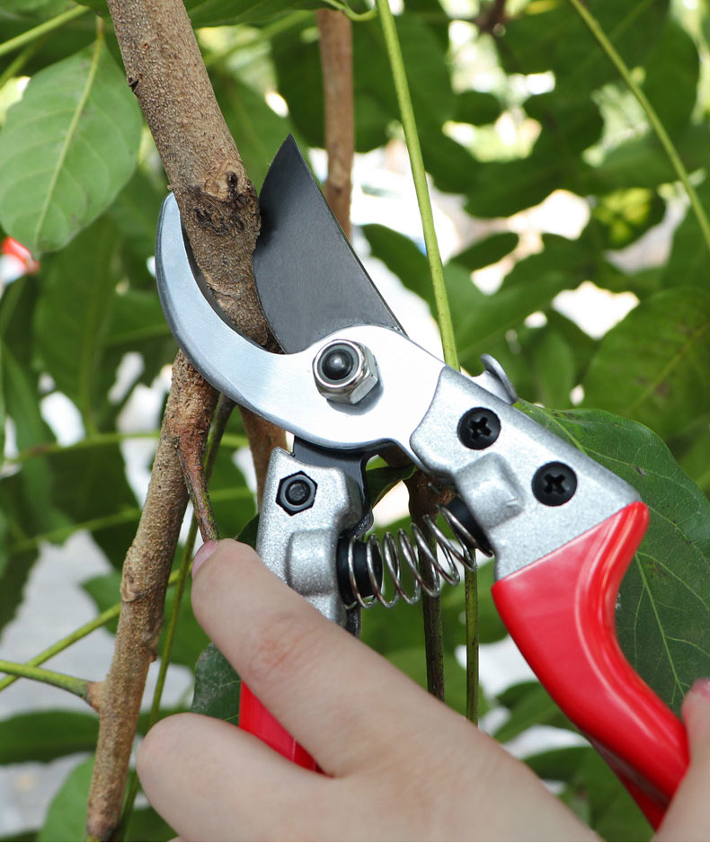 剪树枝专用剪刀修枝剪园林果树粗枝省力大剪刀sk5强力花艺园艺剪v9