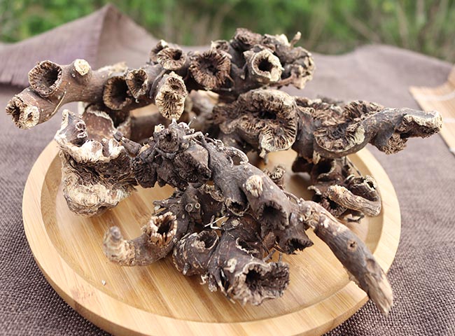 东北升麻野外生窟窿芽根苦老芽根升麻粉鬼脸升麻500g中药原材 杞里香