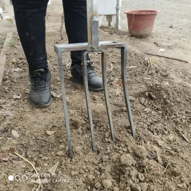 挖花生姜葱钢叉农用工具省力翻土神器粪叉子红薯叉子