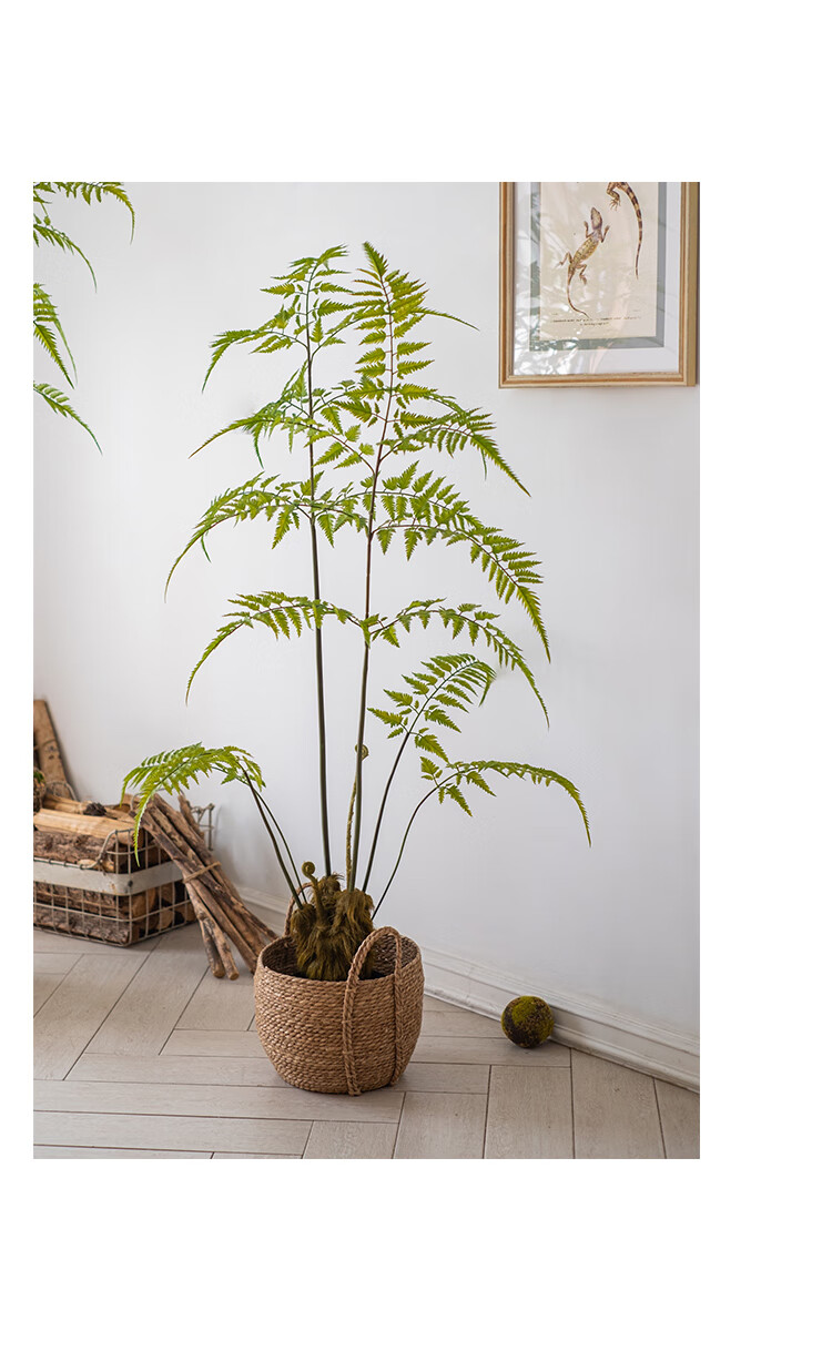 掬涵 大型仿真金毛狗蕨猴头蕨植物盆栽落地绿植装饰客厅盆景摆件 金毛