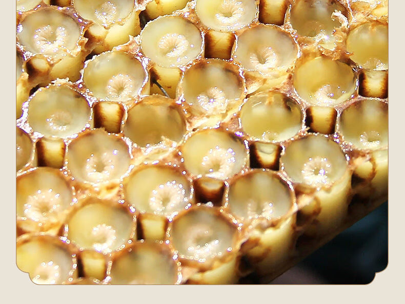 南京同仁堂蜂王胎片冻干粉天然卵巢女性峰王胎浆蜂皇胎片正宗1瓶装60