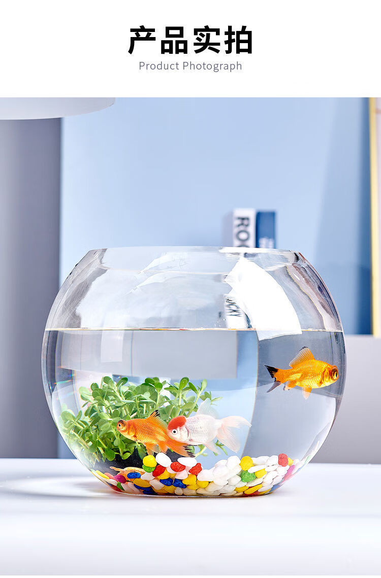 透明圆缸圆形金鱼缸生态创意玻璃鱼缸金鱼缸15球彩石
