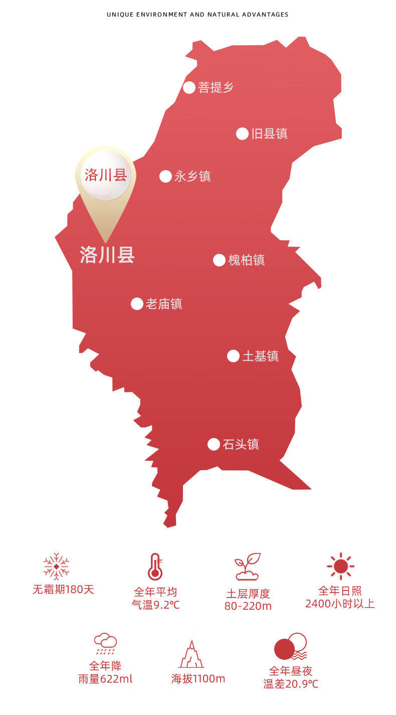 年货精选陕西延安洛川苹果脆甜红富士苹果中大果新鲜水果苹果15个80大